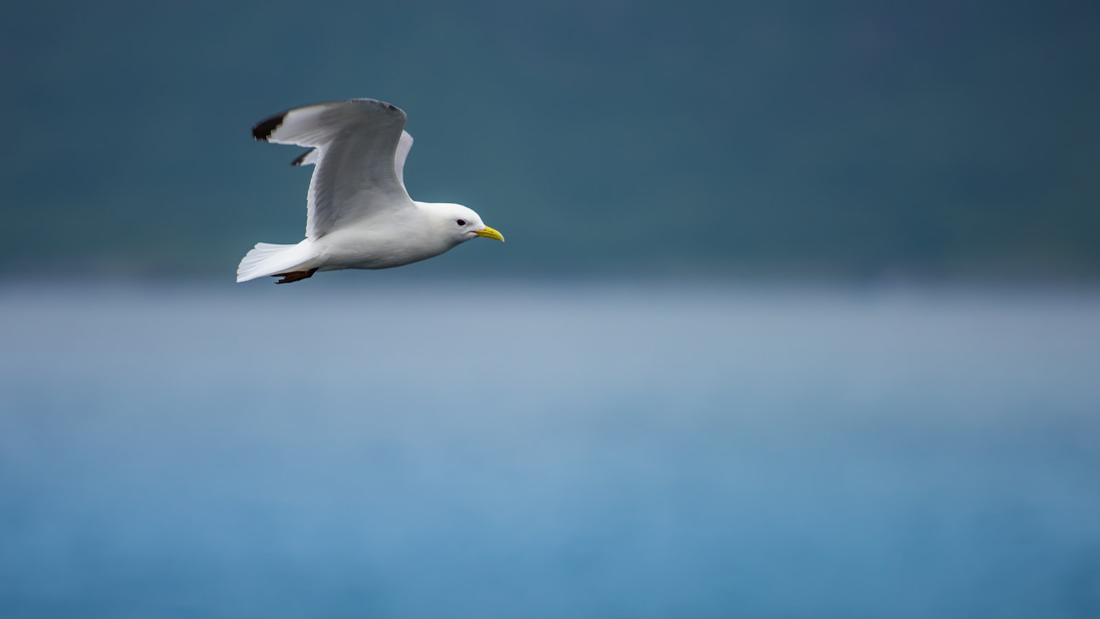 Norway Finds a Treasure Trove of Minerals in Its Seabed