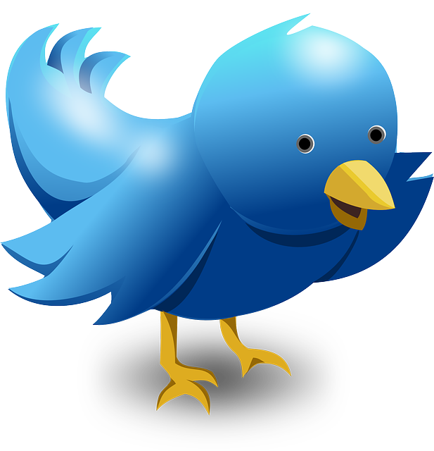 Should You Pay for Meta Verified and Twitter Blue?