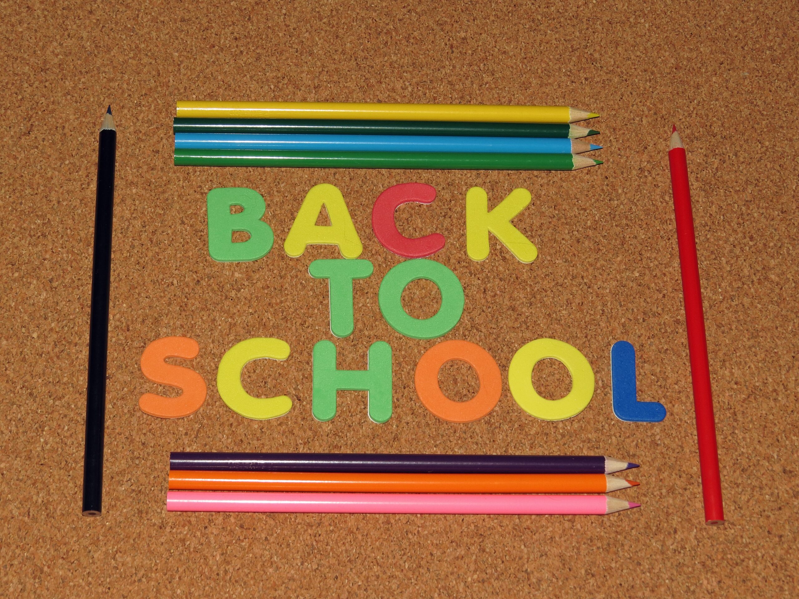 Back to school: Our favorite student apps