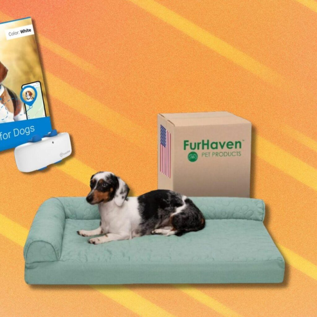 Scoop up the Amazon Pet Day deals that are still live, from dog beds to DNA tests