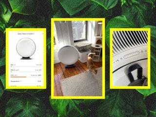 Best Air Purifiers: Tested and Reviewed (2024)