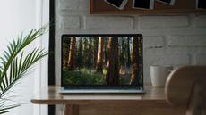 New macOS Sequoia beta has a secret serene wallpaper that’ll turn your desktop into a hidden forest