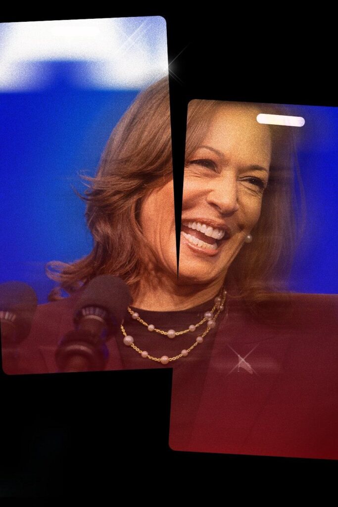 Kamala Harris’ Campaign Is a Windfall for Influencers