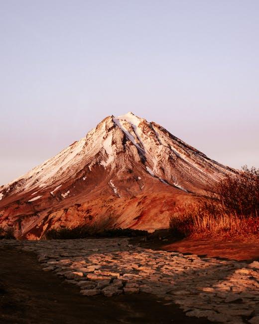 Mountain Bikers Are Rewilding Land by Paying the Government to Do It