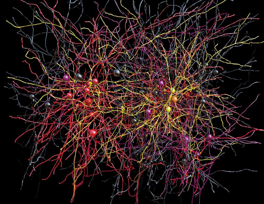 This Is the Most Detailed Map of Human Brain Connections Ever Made