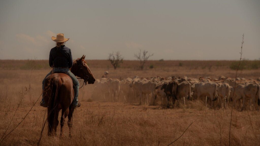 Netflix’s ‘Territory’ review: ‘Yellowstone’ meets ‘Succession’ in the Australian outback